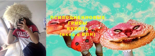 дмт Арсеньев